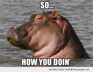 funny-how-you-doin-hippo-joey-friends-pics